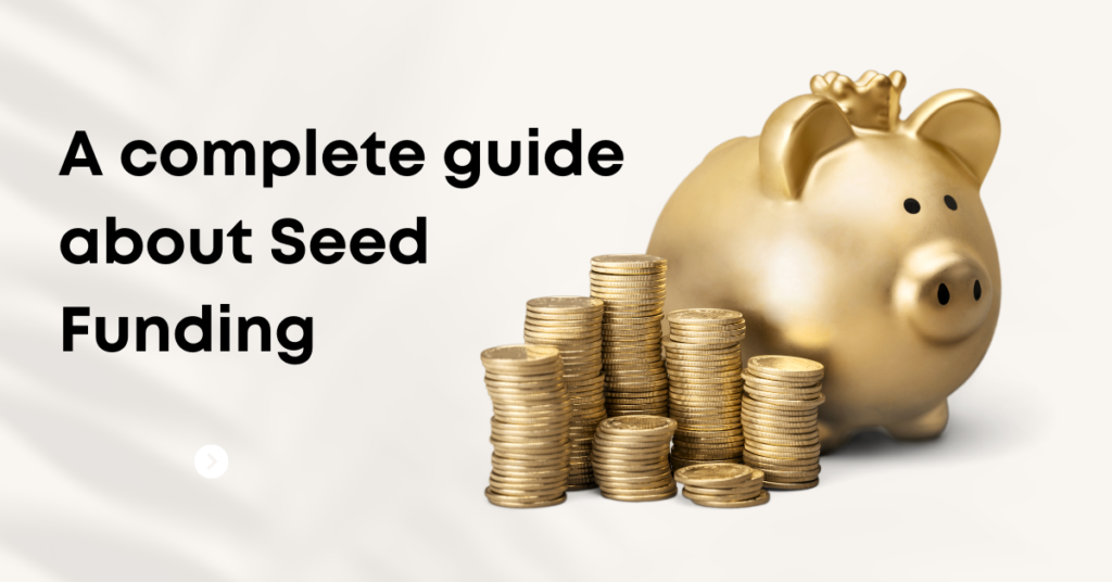 A complete guide about Seed Funding